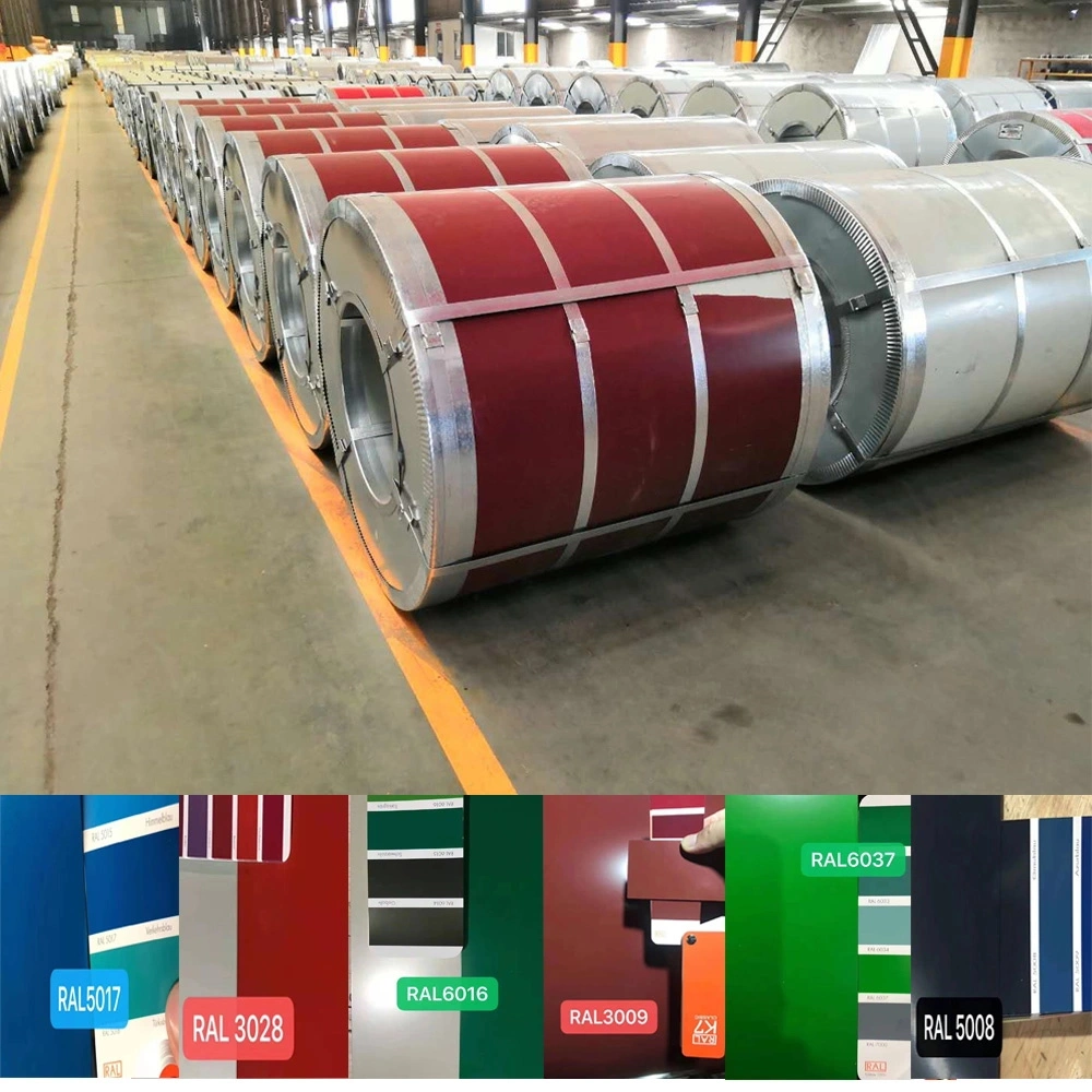 Prepainted Cold Rolled Galvanized Galvalume PPGI/PPGL Steel Coil